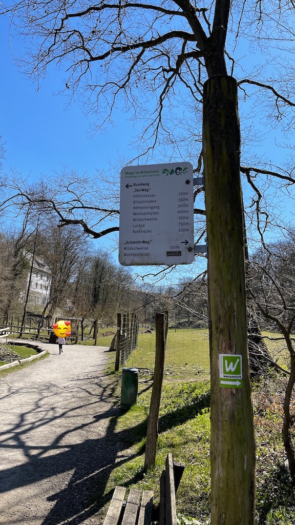 Wildpark Bilsteintal in Warstein